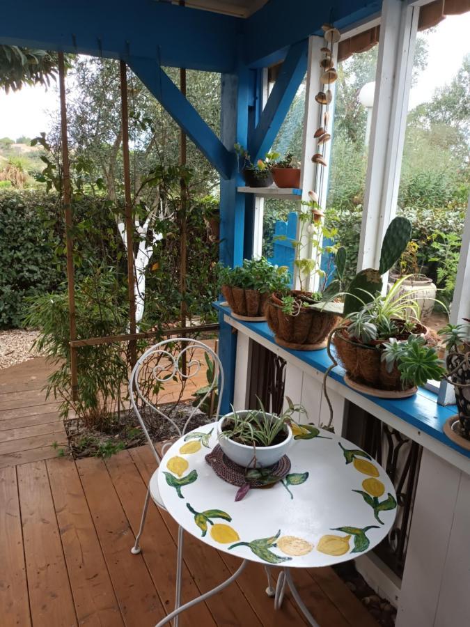 La Cabane Du Pecheur Mèze Екстериор снимка